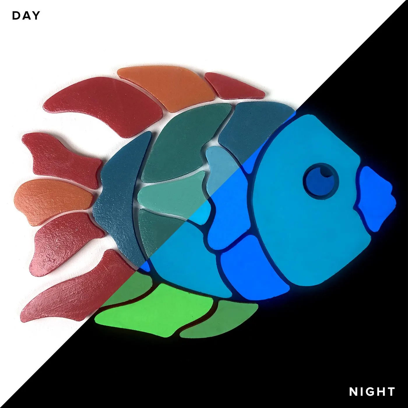 AngelFish