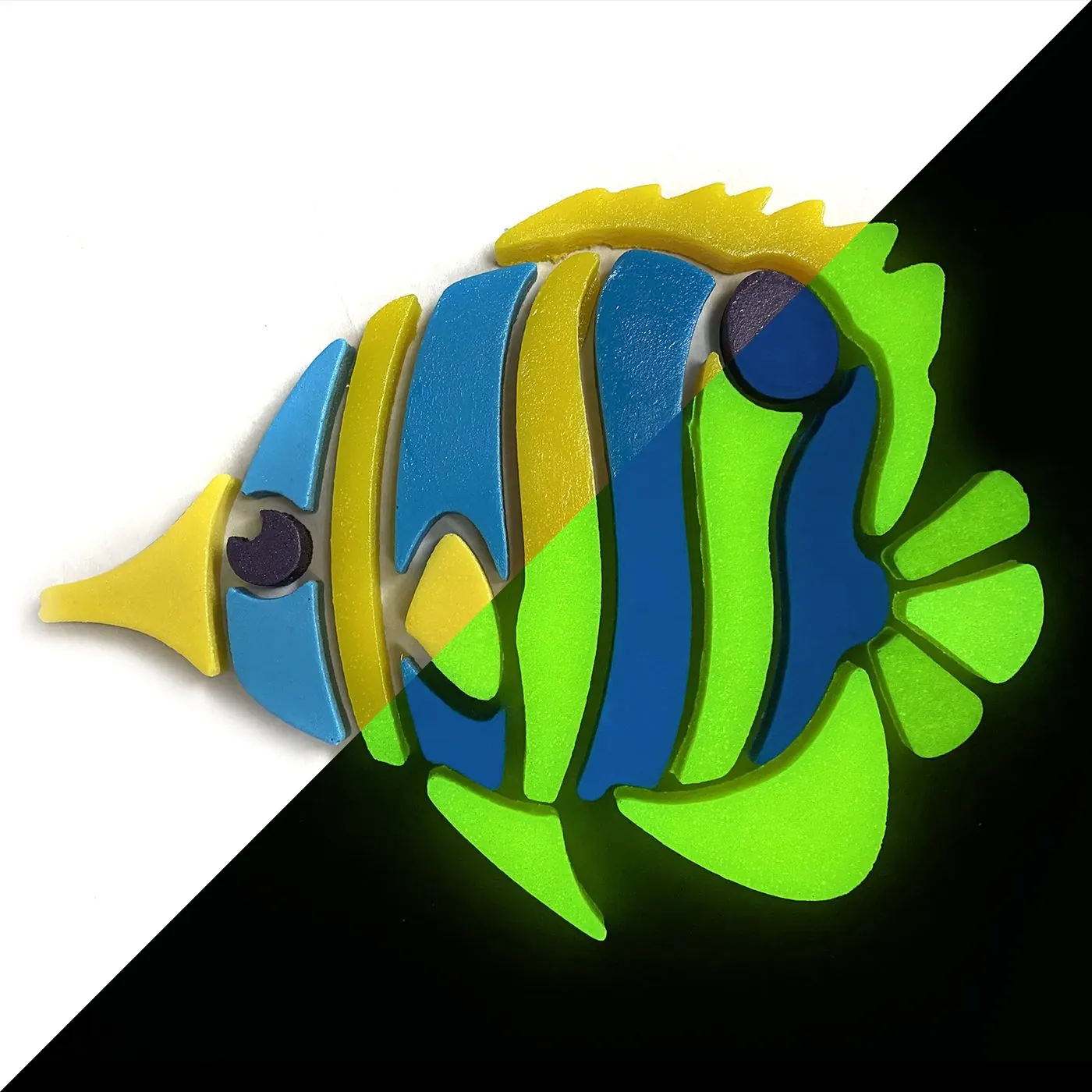 Copperband Butterfly Fish