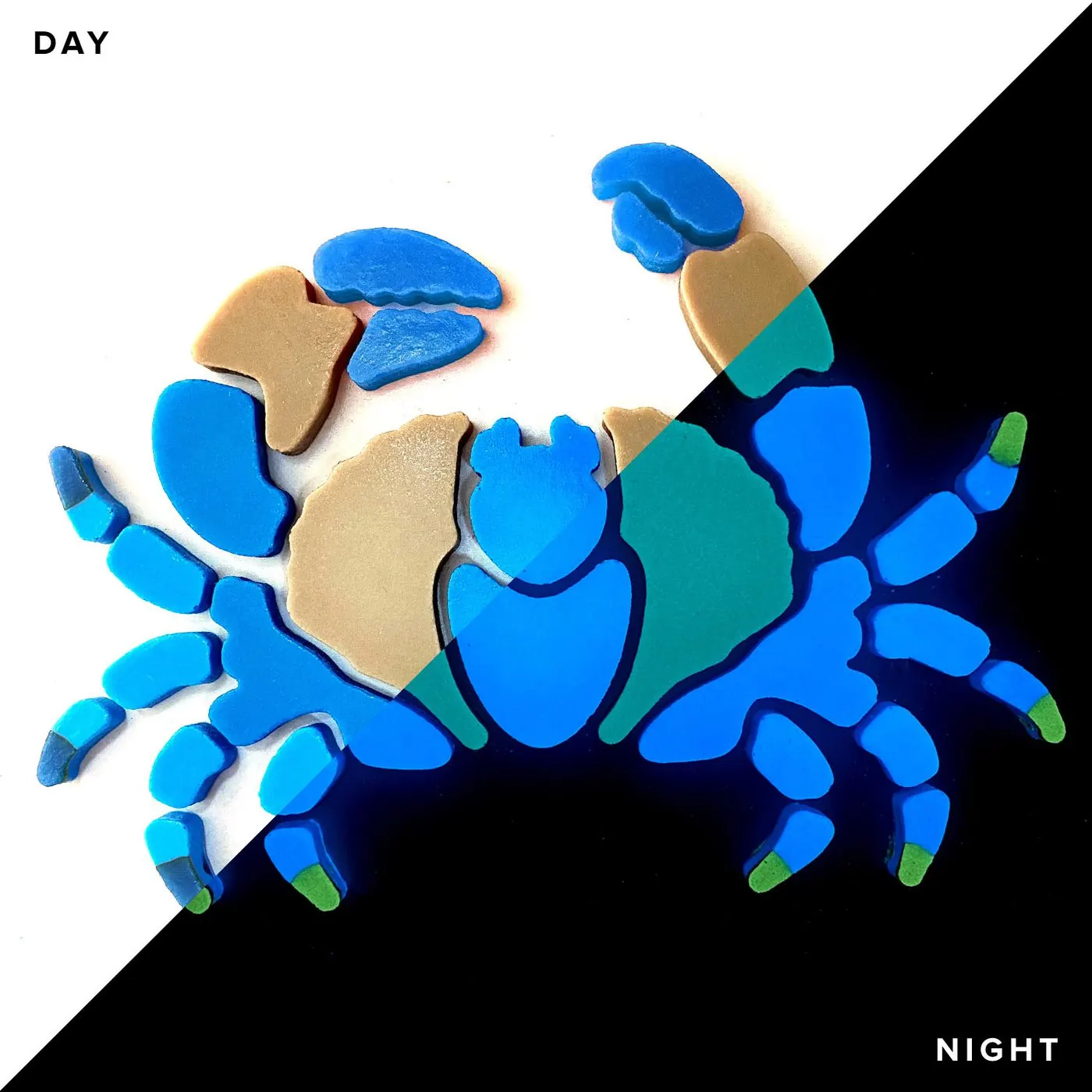 Blue Crab