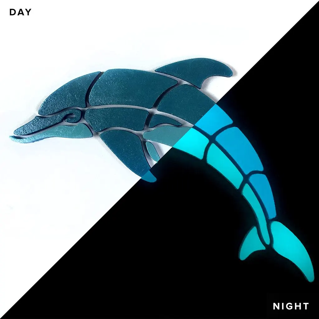 Playful Dolphin