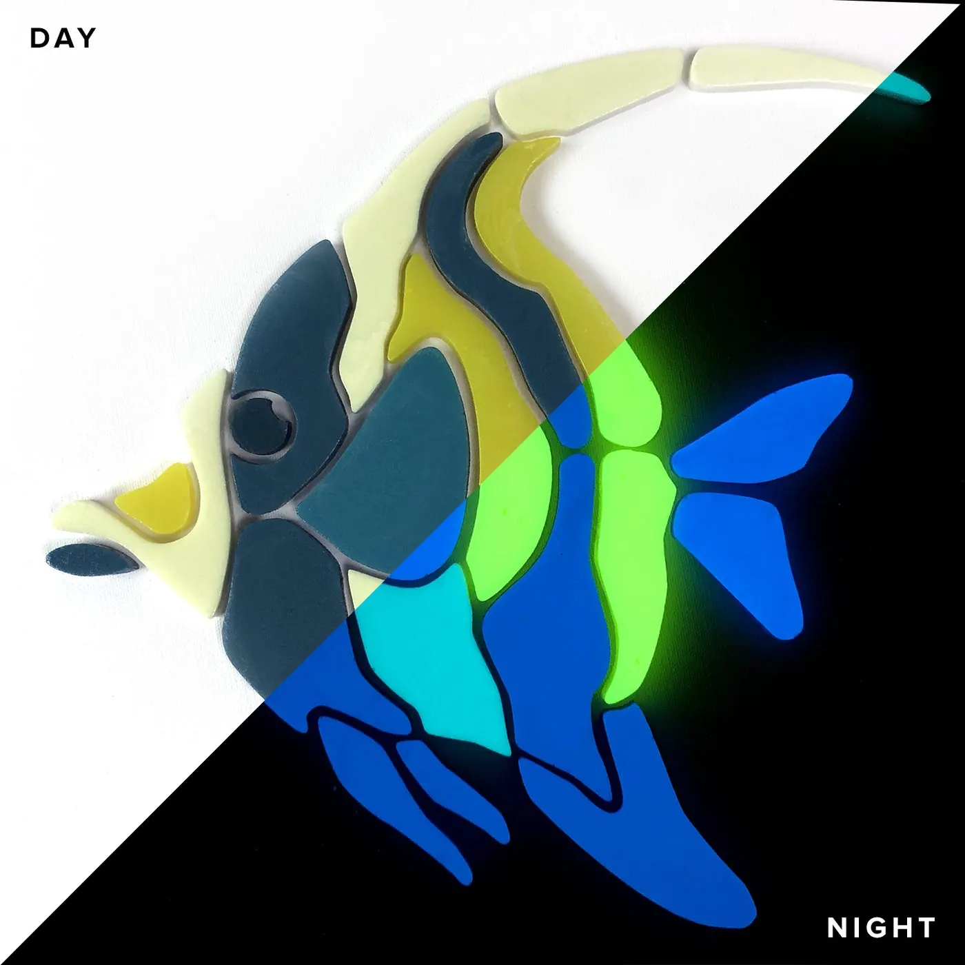 Moorish Idol Fish