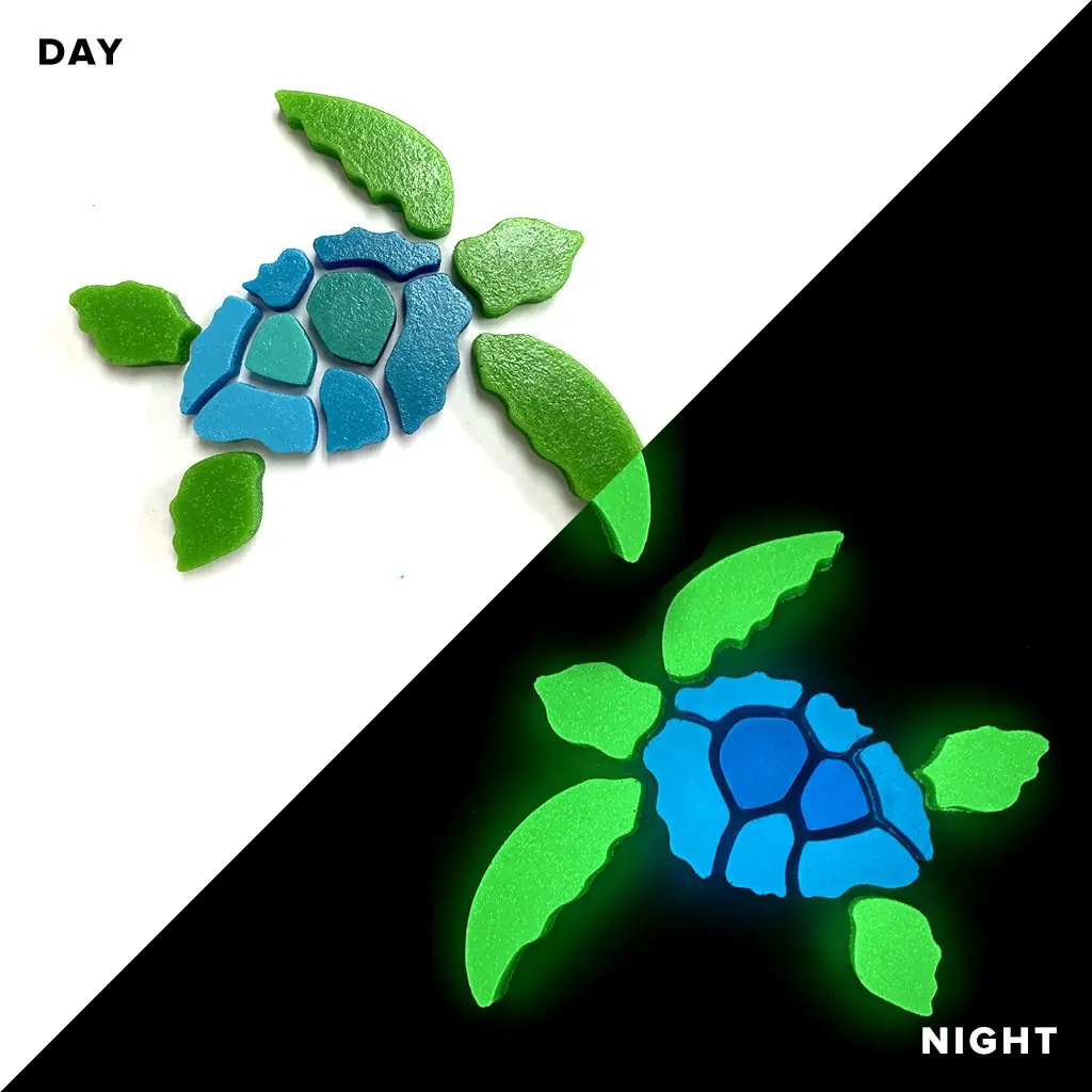 Sea Turtles