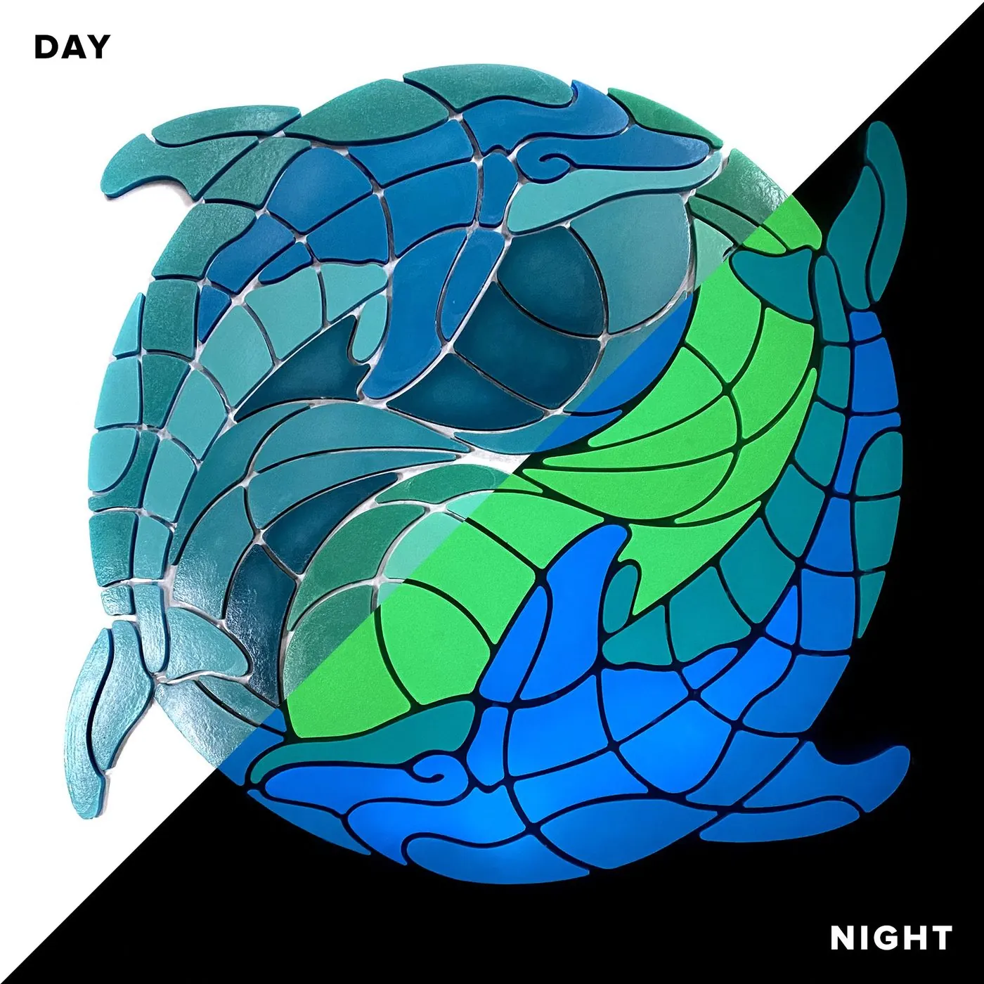 Yin Yang Dolphin