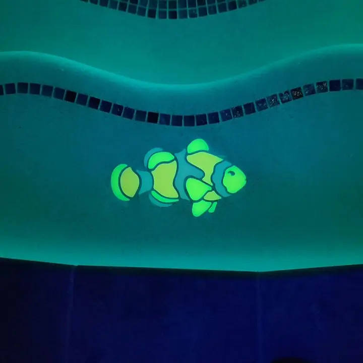 Clownfish mosaic, Kissimmee