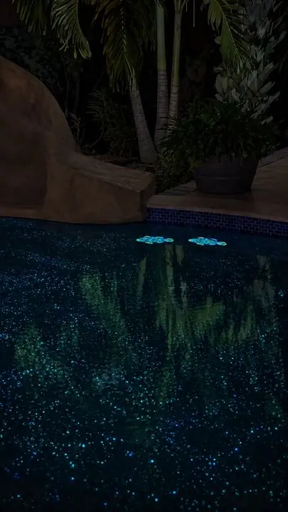 Clownfish pool at night