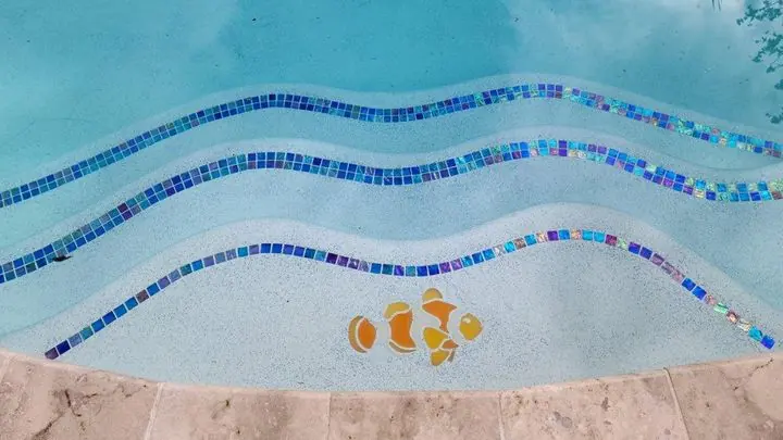 Clownfish mosaic, day