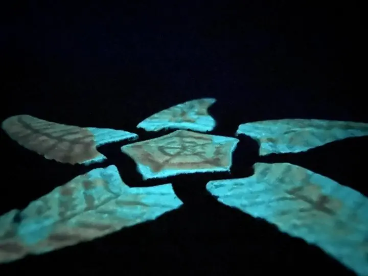 Starfish mosaic
