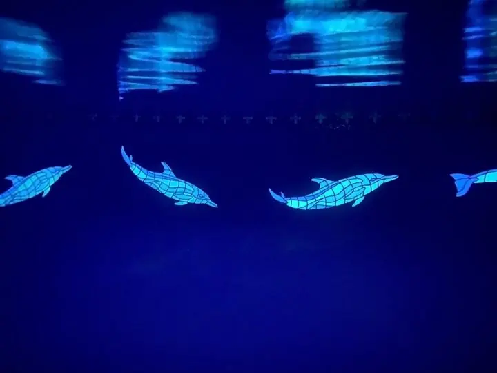 Dolphin mosaics