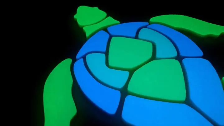 Large turtle mosaic