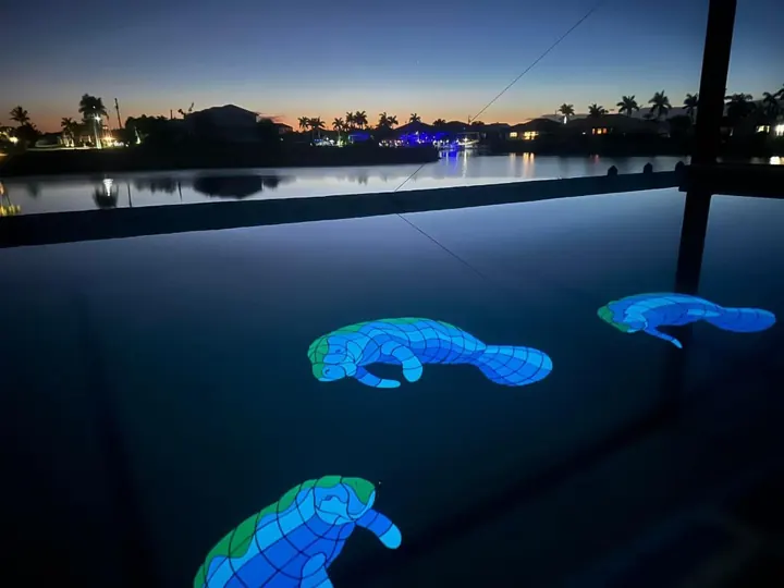 Manatee Family mosaics, Cape Coral pool