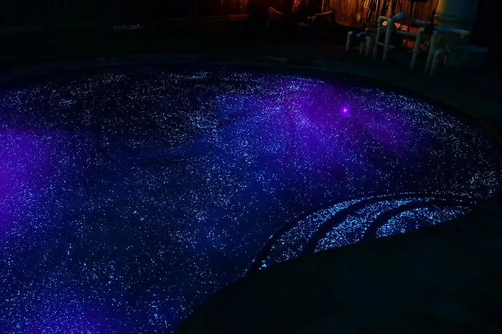 Manchester pool