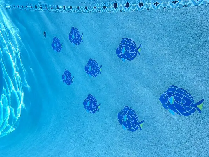 Fish mosaics, day