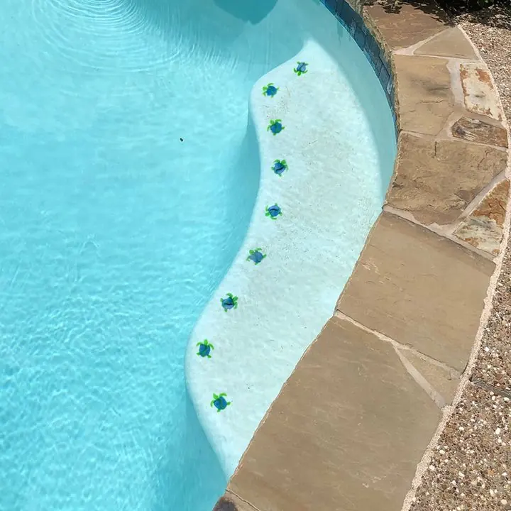 Mini turtles, swerve pattern, day