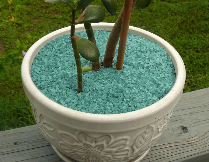 Planter pot, day