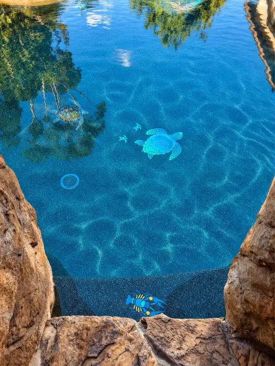 Sea Turtle and Crayfish mosaics, Lakeside pool