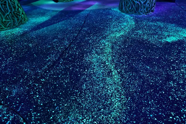 SeaWorld Abu Dhabi, glow currents in the floor