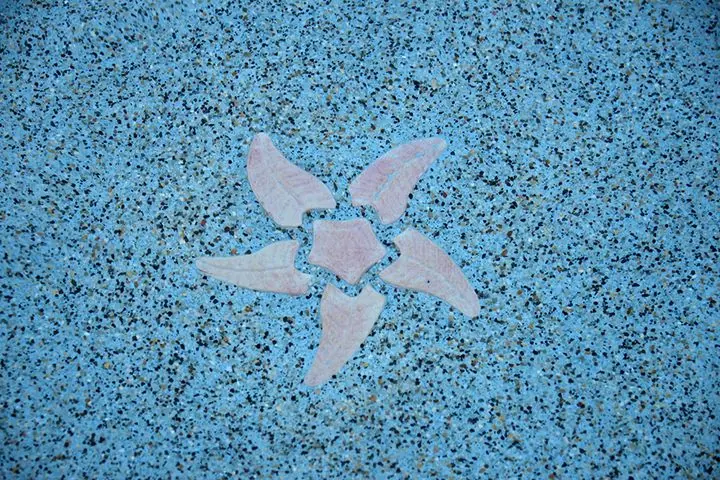 Starfish mosaic in pebble, day