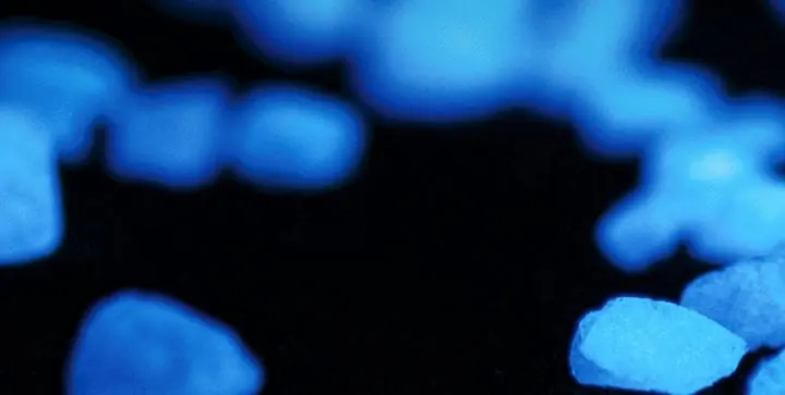 Aggregate, close up